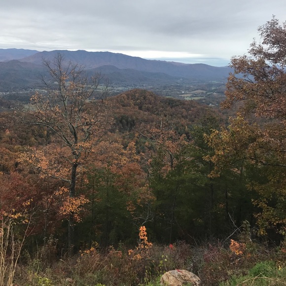 Meet your Posher, Angela - Picture 3 of 3